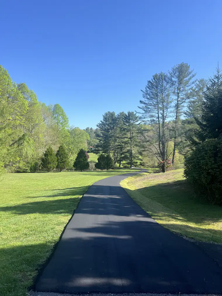 Long new asphalt driveway winding through a rolling lawn lined with tall pines and spring hardwoods