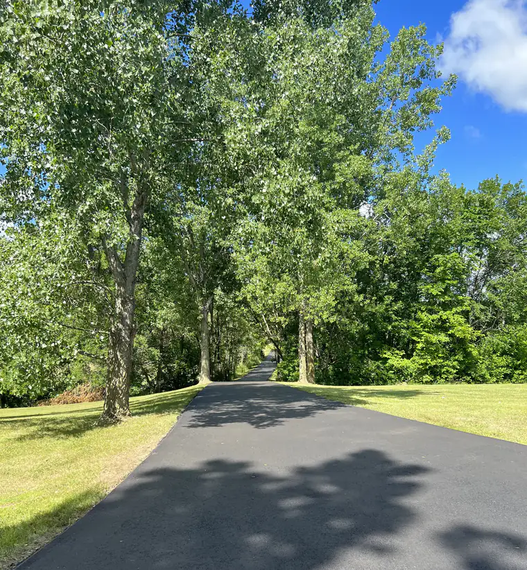 Newly paved black asphalt driveway stretching through tall cottonwood trees and mowed lawn on a rural property